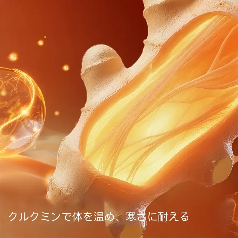 【OEING】【2点セット】秋冬に暖かく、シームレスで見えない、スリムフィットのベースレイヤーアンダーウェア、シルキーで滑らかで肌に優しい#202 5