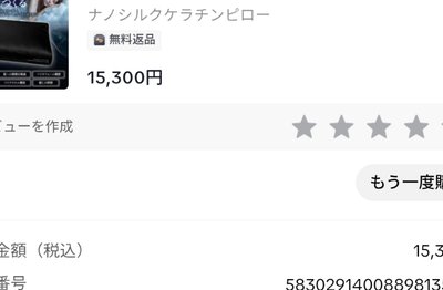 KYOGOKU ナノシルクケラチンピロー