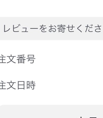 KYOGOKU ナノシルクケラチンピロー