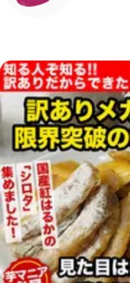 8/5（水）9:00〜8/9（日）23:59限定セ…