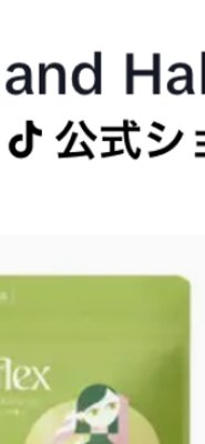 【公式】 ティーフレックス TeaFlex 45g