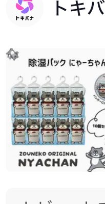 【10個セット】 除湿パック にゃーちゃん