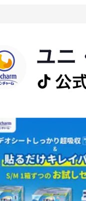 デオシート しっかり超吸収無香消臭タ