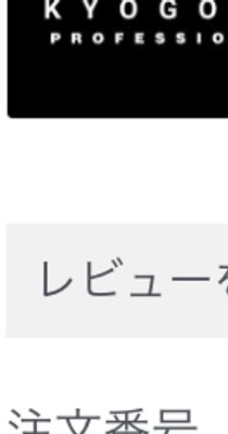 KYOGOKU シグネチャーイオンブラン ブルベリートリートメント
