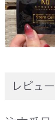KYOGOKU シグネチャークッション