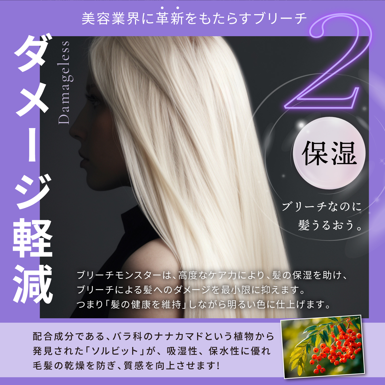 KYOGOKU ブリーチモンスター (世界初 ムラサキパウダーブリーチ) 最高峰 ケアブリーチ