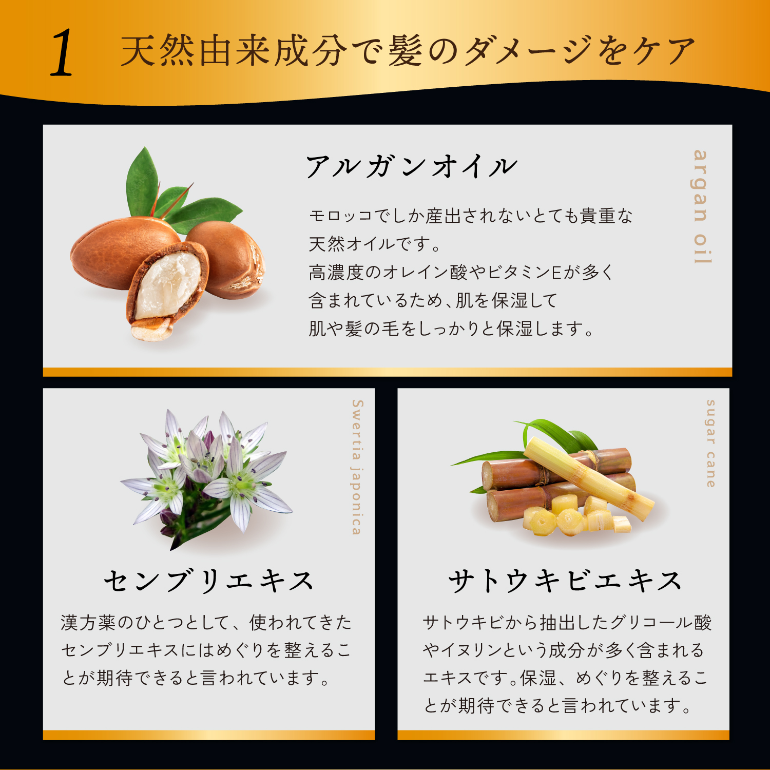 KYOGOKU ブラックダイヤモンド スプレー 洗い流さないトリートメント ヘアオイル スプレー