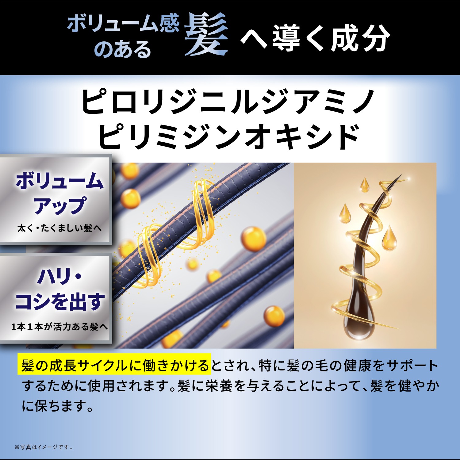 KYOGOKUレ スキャルプセラムシャンプー 185ml 頭皮ケアシャンプー