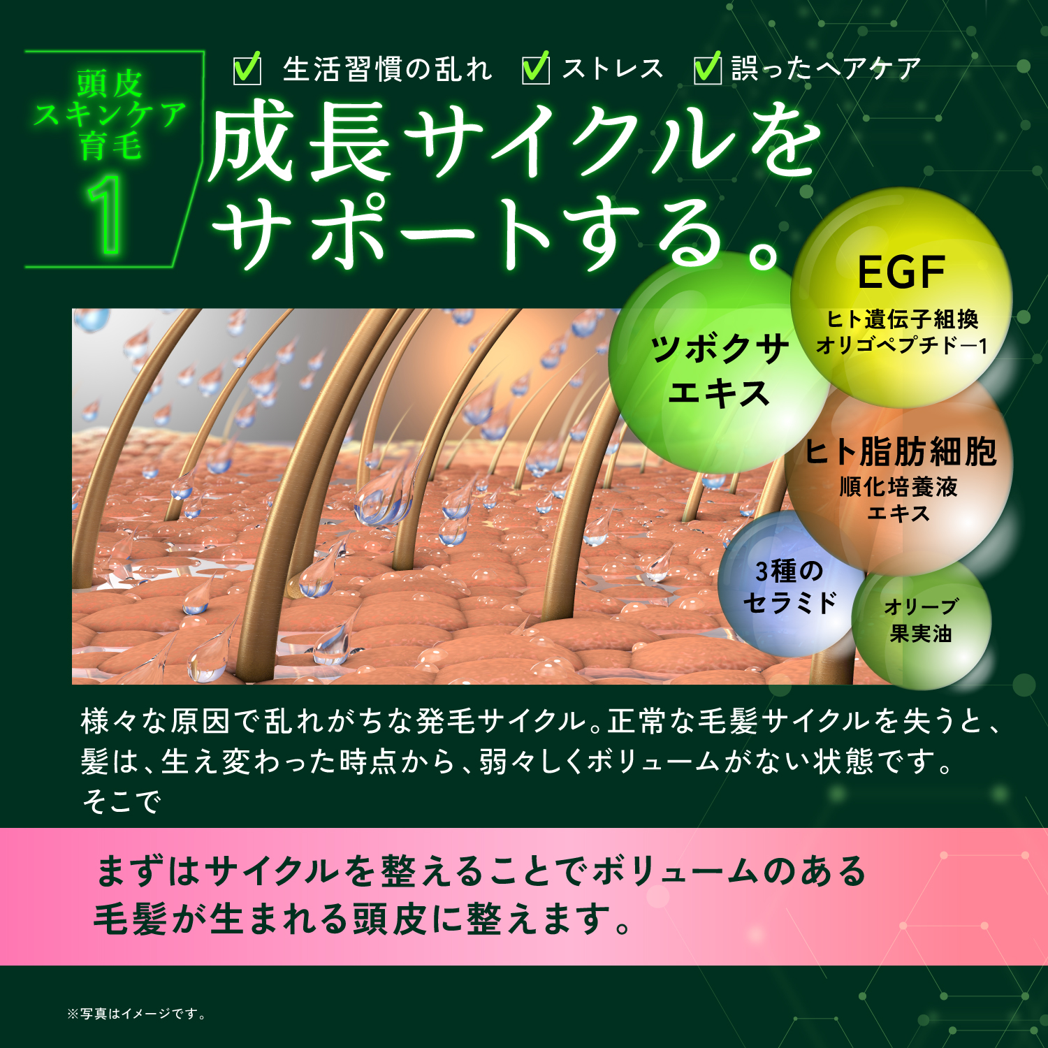 KYOGOKU ネイチャーブースター+シャンプー 育毛シャンプー 薬用トニック 男女兼用 無添加