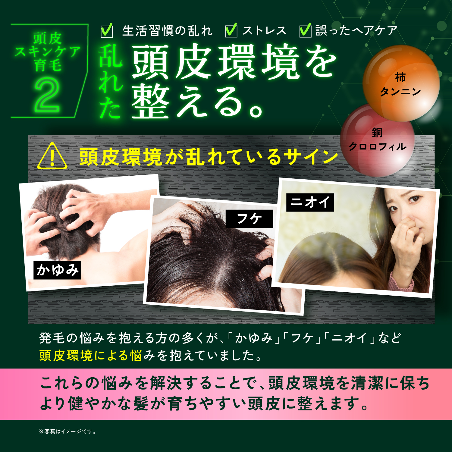 KYOGOKU ネイチャーブースター+シャンプー 育毛シャンプー 薬用トニック 男女兼用 無添加