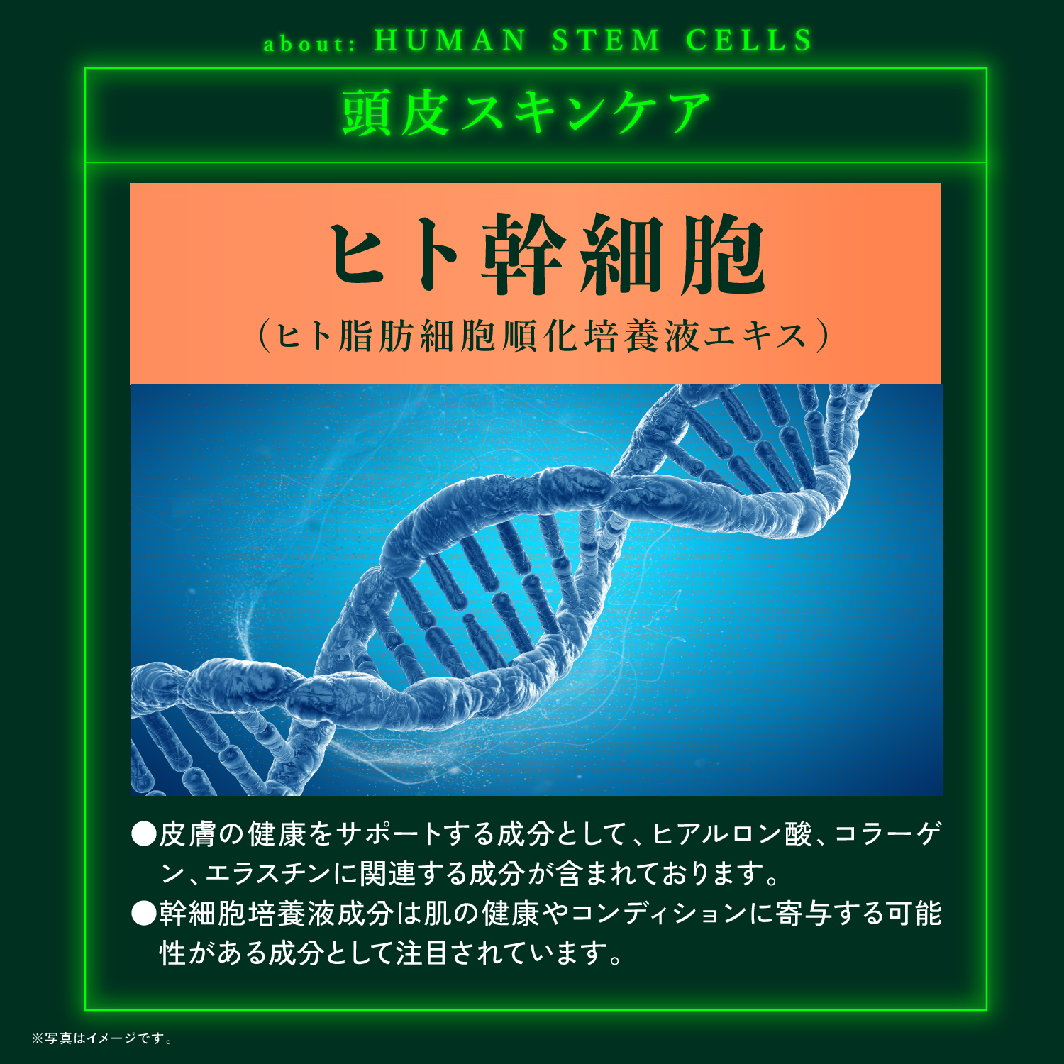 KYOGOKU ネイチャーブースター+シャンプー 育毛シャンプー 薬用トニック 男女兼用 無添加