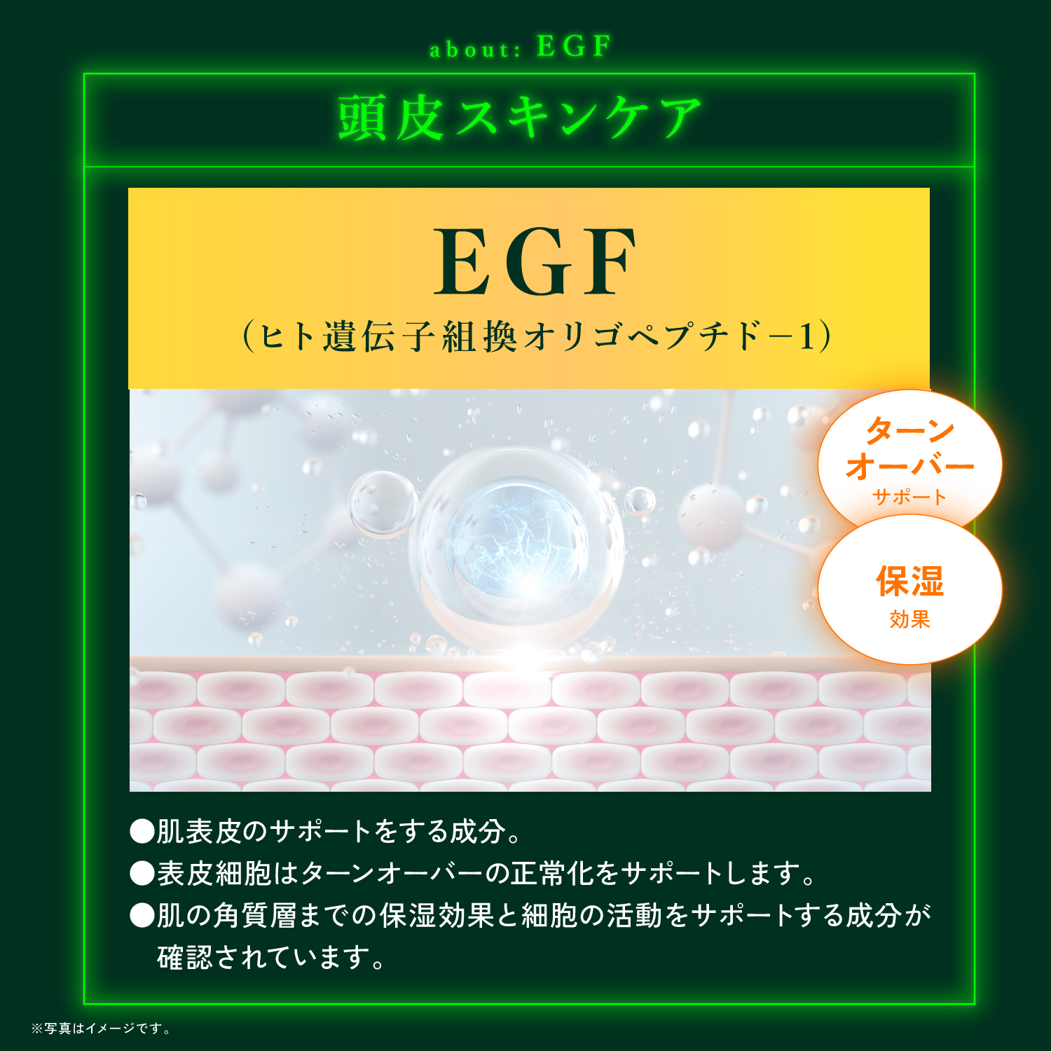 KYOGOKU ネイチャーブースター+シャンプー 育毛シャンプー 薬用トニック 男女兼用 無添加