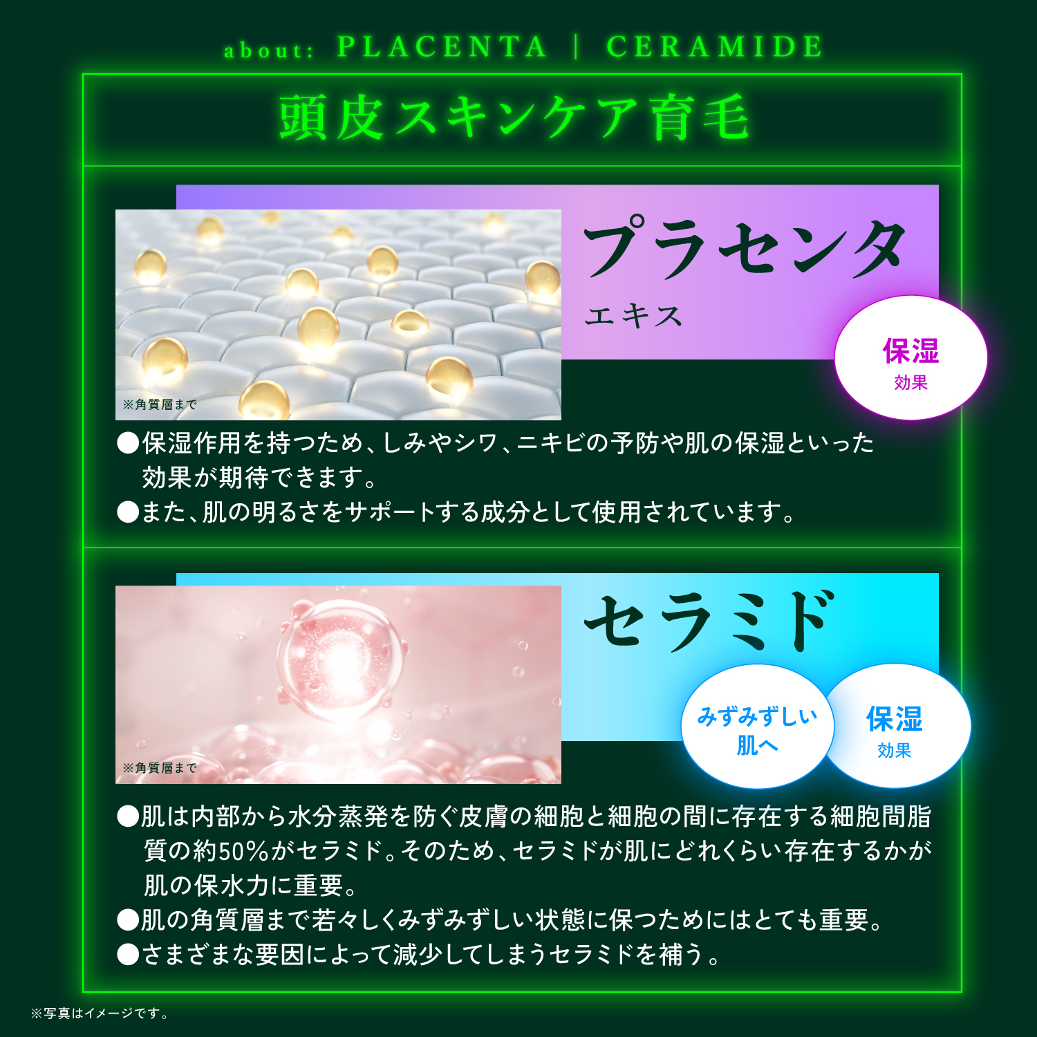 KYOGOKU ネイチャーブースター+シャンプー 育毛シャンプー 薬用トニック 男女兼用 無添加