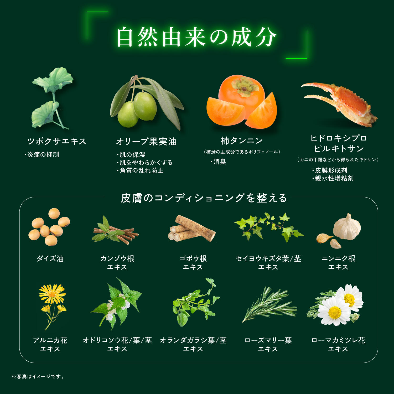 KYOGOKU ネイチャーブースター+シャンプー 育毛シャンプー 薬用トニック 男女兼用 無添加