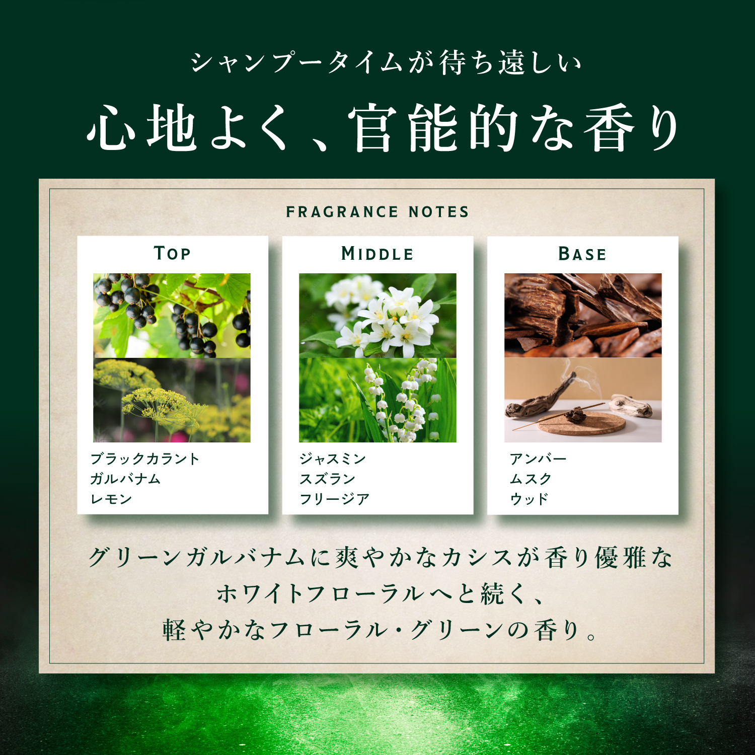 KYOGOKU ネイチャーブースター+シャンプー 育毛シャンプー 薬用トニック 男女兼用 無添加