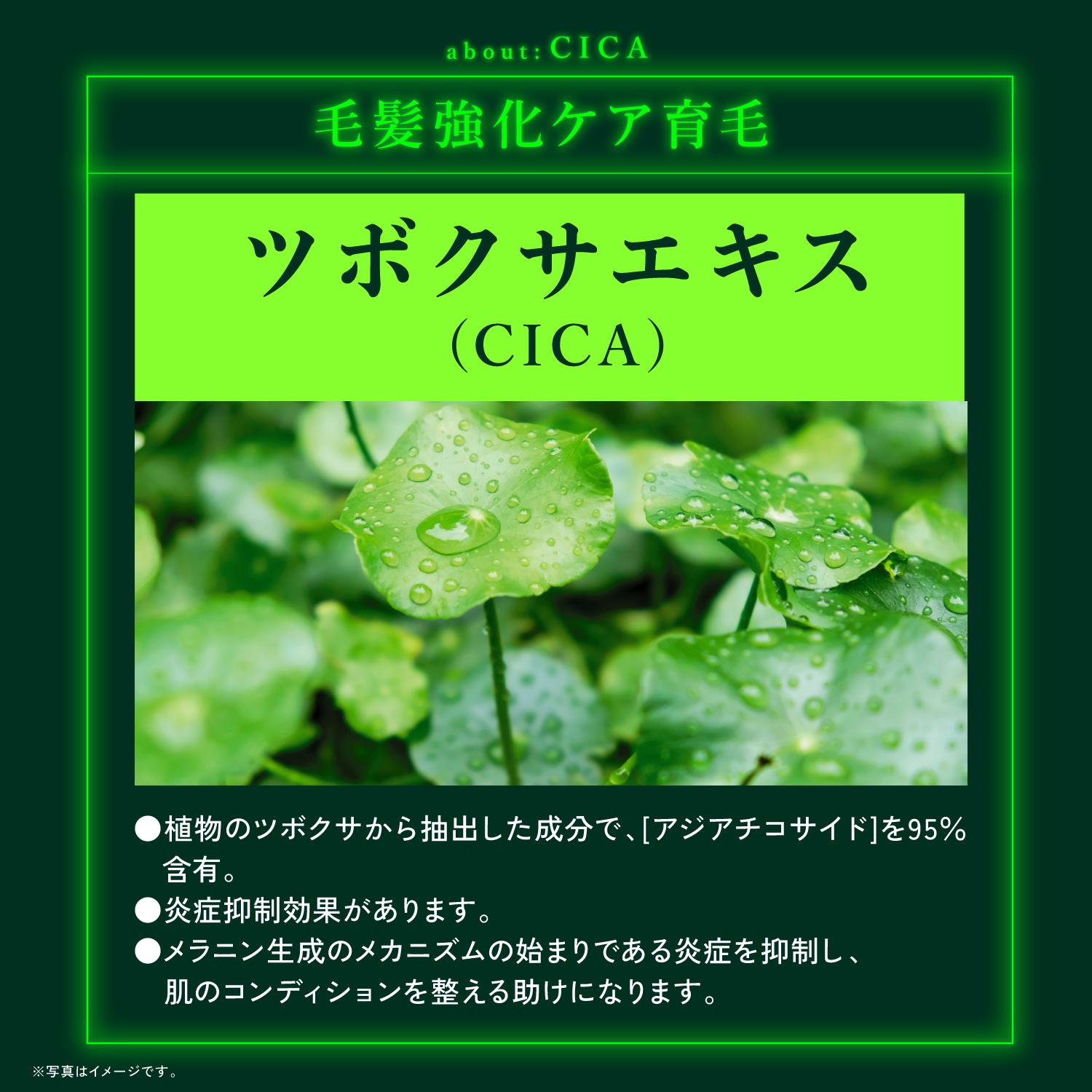 KYOGOKU ネイチャーブースター+トリートメント