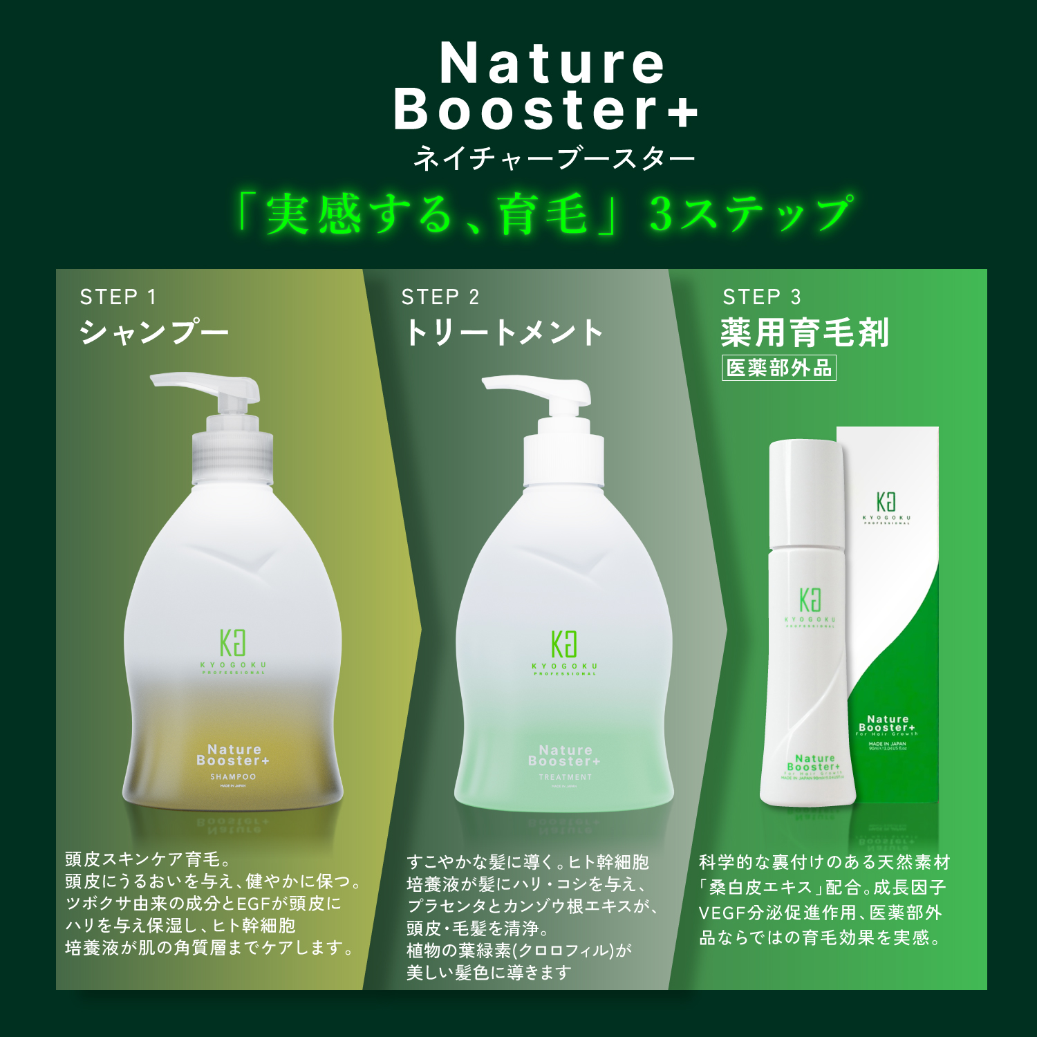 KYOGOKU ネイチャーブースター+トリートメント