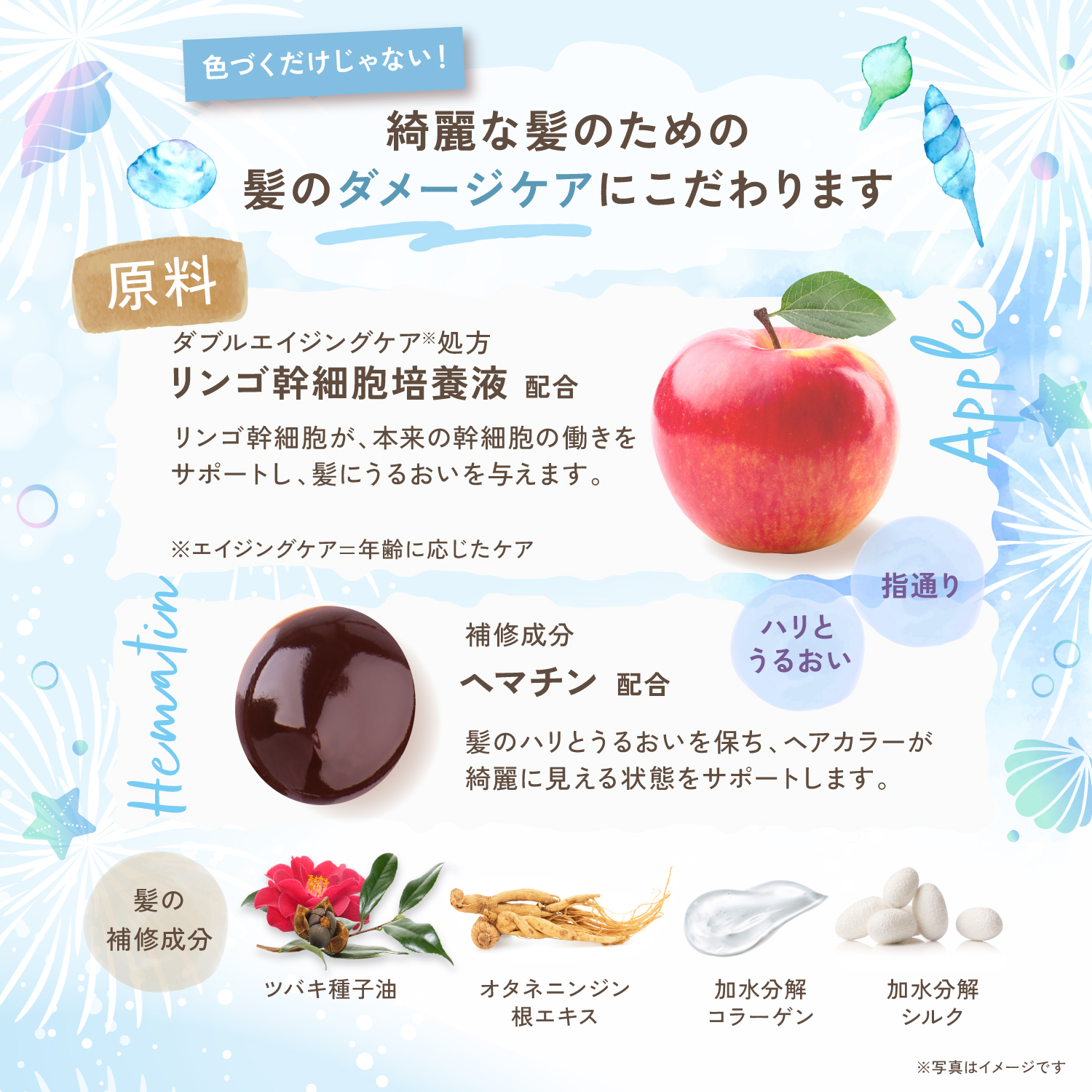 KYOGOKU パーソナルカラーシャンプー アッシュグレー ブルベ夏 200ml カラーシャンプー 業界初 パーソナルカラー診断 美容室専売品 ダメージ髪用シャンプー サロン専売品 リンゴ幹細胞培養液配合 色落ち防止