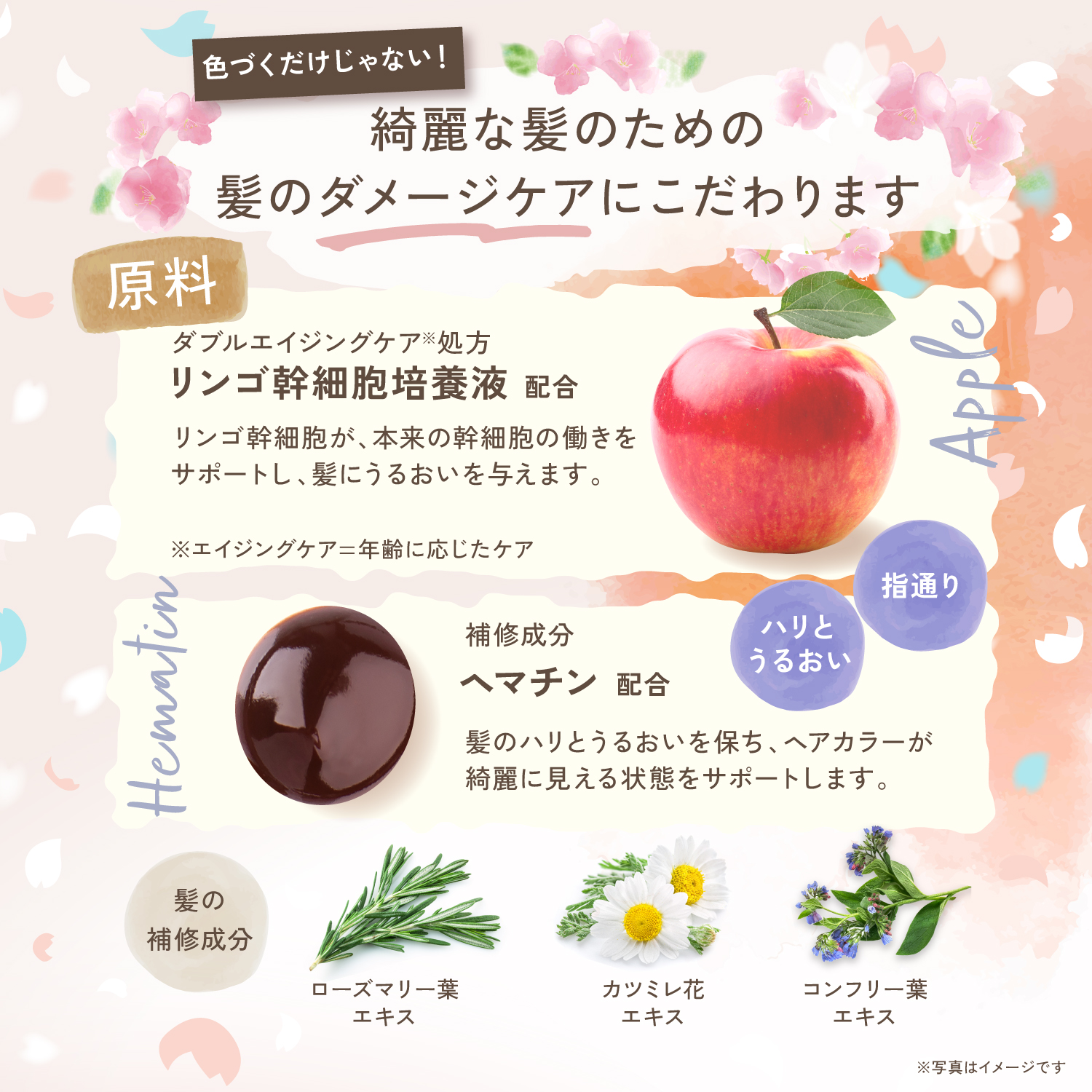 KYOGOKU パーソナルカラーシャンプー ピンクブラウン イエベ春 200ml カラーシャンプー 業界初 パーソナルカラー診断 美容室専売品 ギフト ダメージ髪用シャンプー サロン専売品 リンゴ幹細胞培養液配合 色落ち防止