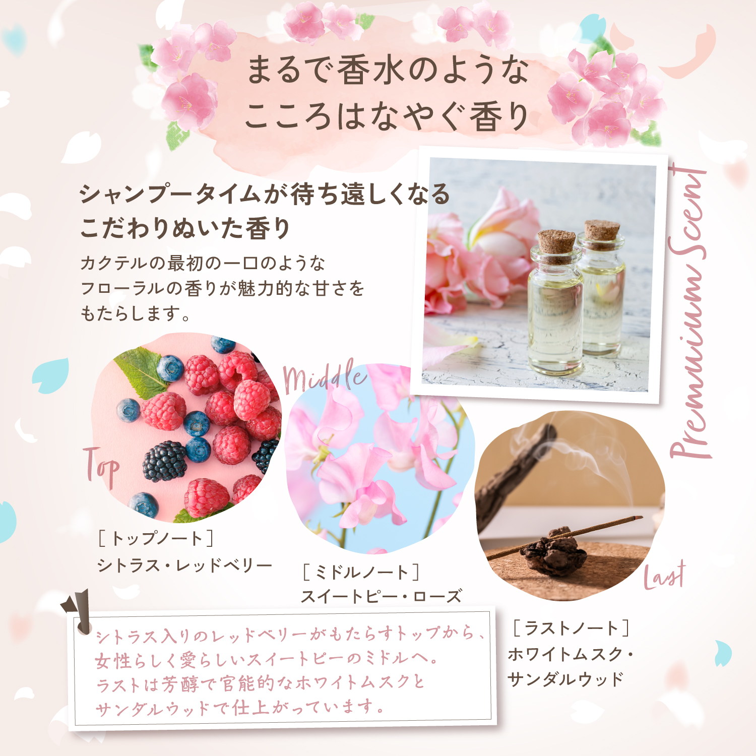 KYOGOKU パーソナルカラーシャンプー ピンクブラウン イエベ春 200ml カラーシャンプー 業界初 パーソナルカラー診断 美容室専売品 ギフト ダメージ髪用シャンプー サロン専売品 リンゴ幹細胞培養液配合 色落ち防止