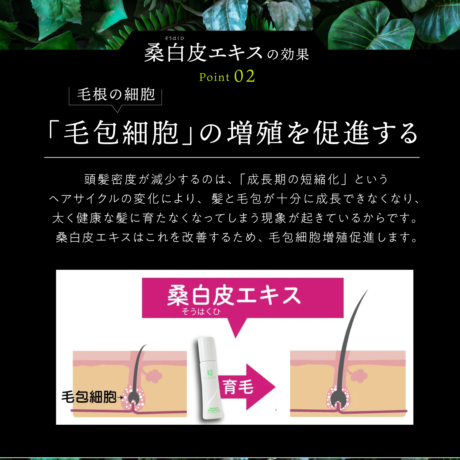 KYOGOKU ネイチャーブースター 育毛剤 医薬部外品 ヘアトニック 薬用育毛トニック 男女兼用 無添加 抜け毛予防