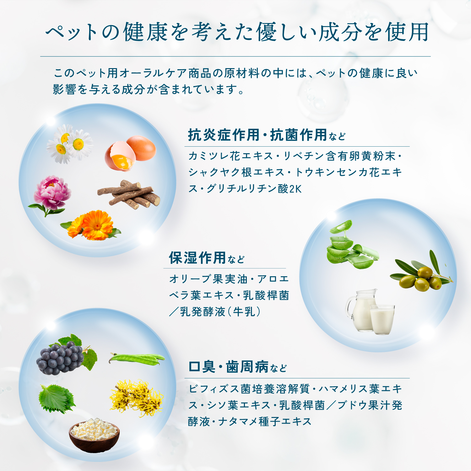 KYOGOKU ペット オールインワン ジェルブラシ 5ml