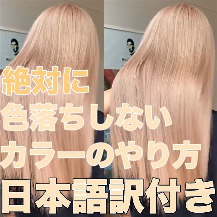 ダブルカラー  カラー編 日本限定販売 限定２００セット