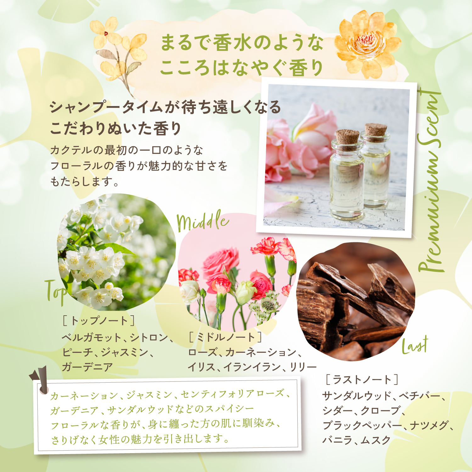 KYOGOKU パーソナルカラーシャンプー オリーブアッシュ イエベ秋 200ml カラーシャンプー 業界初 パーソナルカラー診断 美容室専売品 ギフト ダメージ髪用シャンプー サロン専売品 リンゴ幹細胞培養液配合 色落ち防止