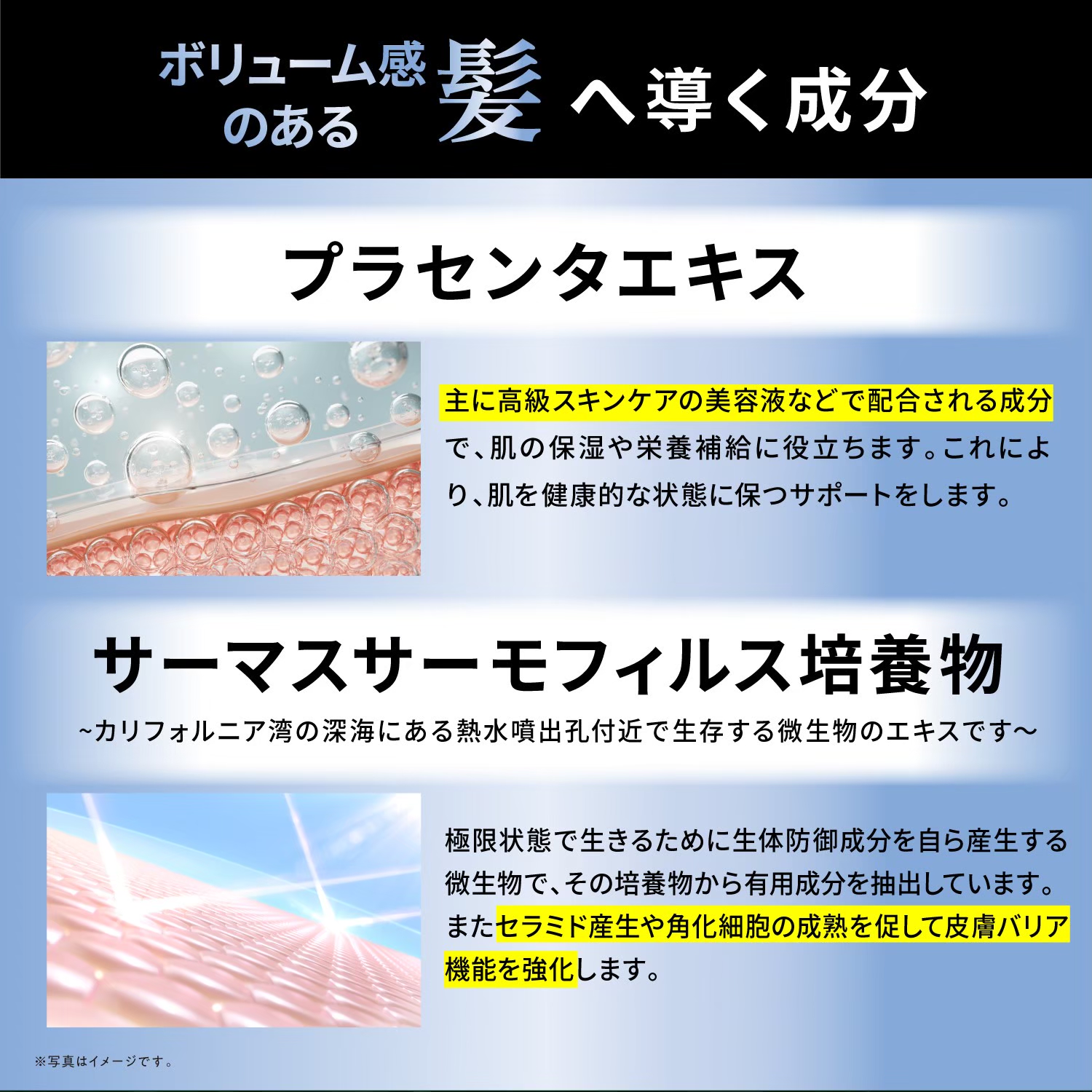 KYOGOKUレ スキャルプセラムシャンプー 185ml 頭皮ケアシャンプー