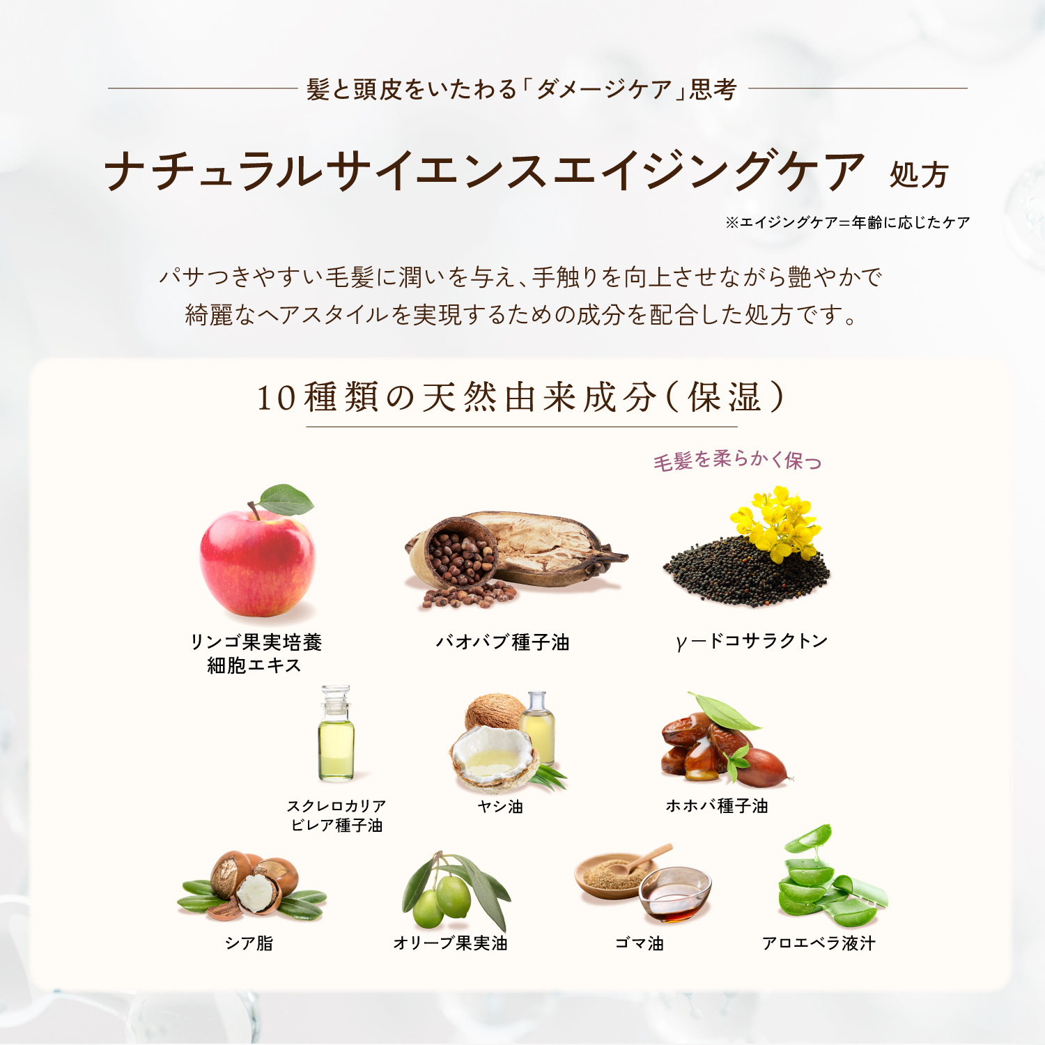 KYOGOKU カラーシャンプー ナチュラルブラウン 200ml カラーシャンプー 白髪 ブラウン サロンシャンプー 茶髪 ブラウンカラー ブリーチ髪 ダメージケア サロン専売品