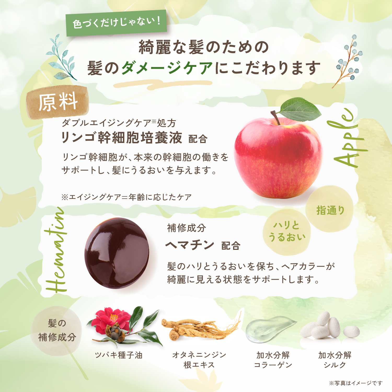 KYOGOKU パーソナルカラーシャンプー オリーブアッシュ イエベ秋 200ml カラーシャンプー 業界初 パーソナルカラー診断 美容室専売品 ギフト ダメージ髪用シャンプー サロン専売品 リンゴ幹細胞培養液配合 色落ち防止